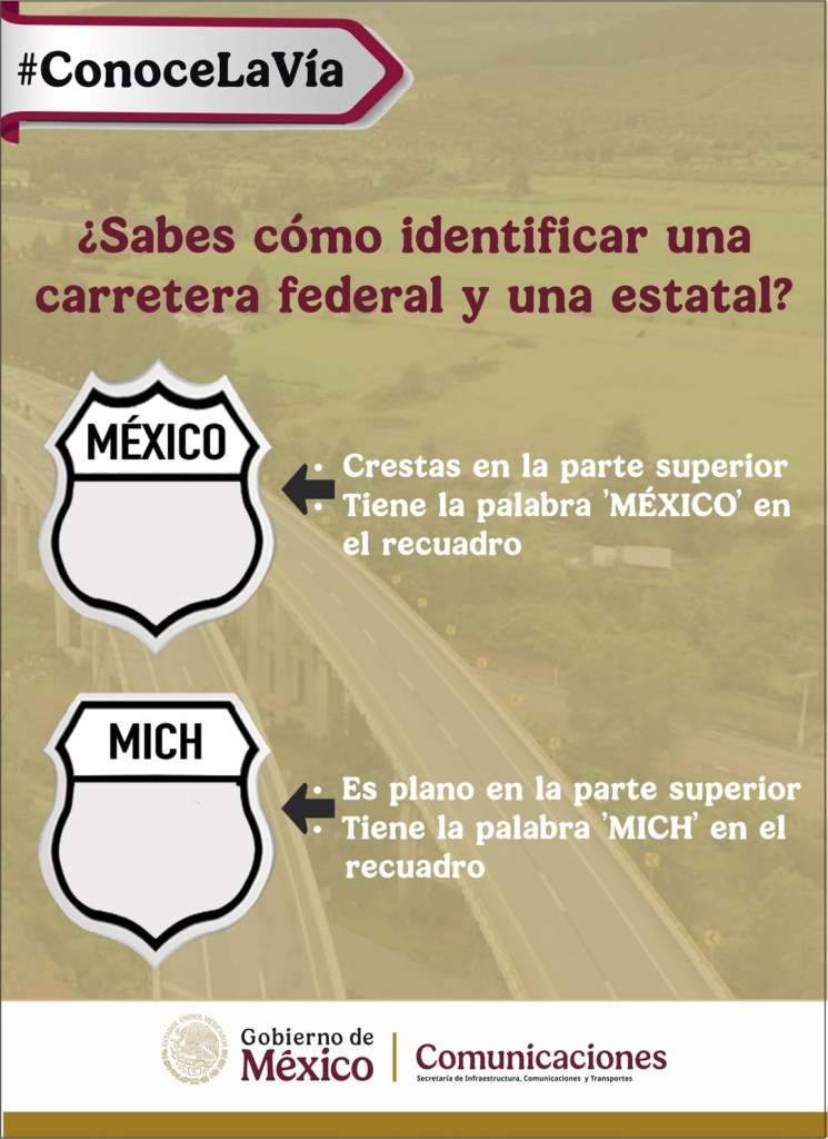 Las reglas ya están publicadas en el Diario Oficial. Te contamos qué sí y qué no pueden hacer los agentes de la GN en carreteras